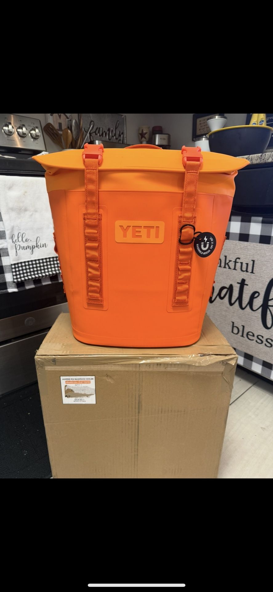 New YETI M Series Small Backpack Cooler with MagShield Access