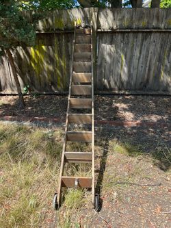 Library Ladder