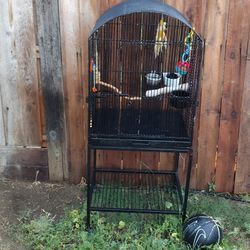 Bird Cage With Extras Nice 