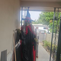 Witch 7ft Tall