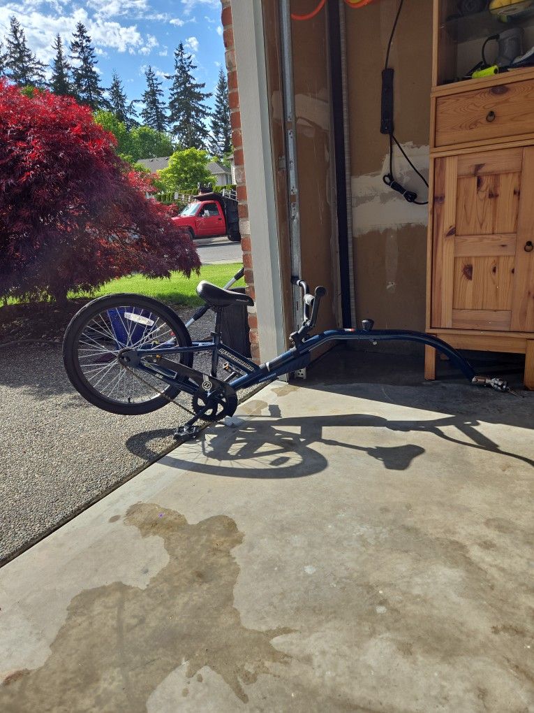 Kids Bike Trailer