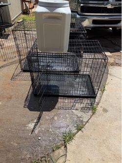 Medium Kennel $40