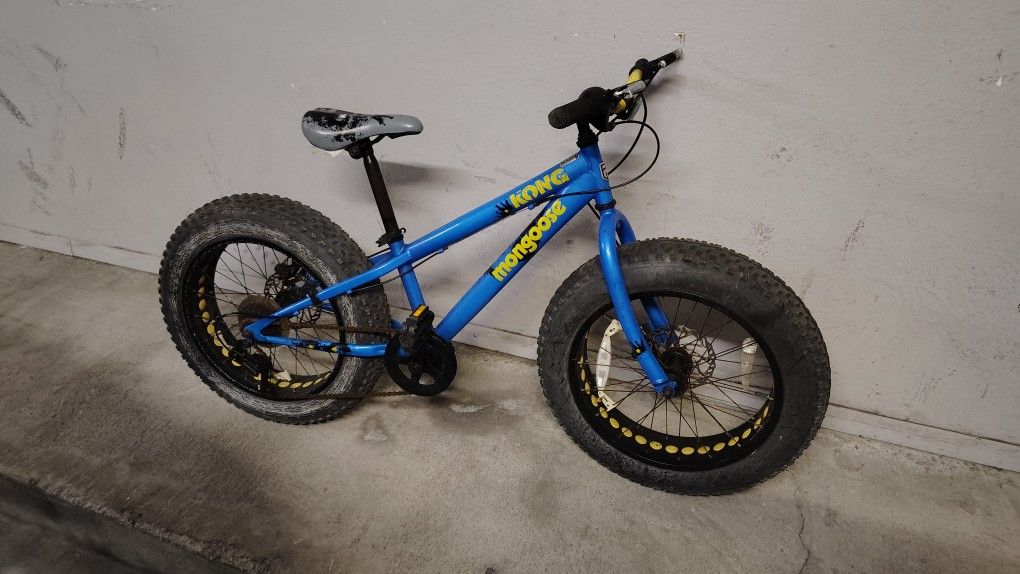 Mongoose Kong Fat Tire Mountain Bike For Kids