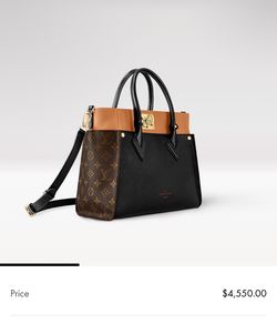 Louis Vuitton purse (authentic)