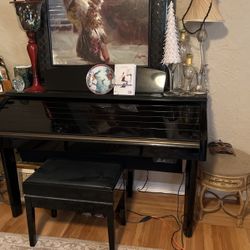 Very expensive piano it’s for sale. I’m moving and I can’t take it with me. It’s all electric. It can be changed over to a different type of ele iectr