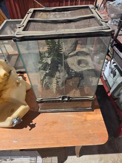 Glass Terrariums
