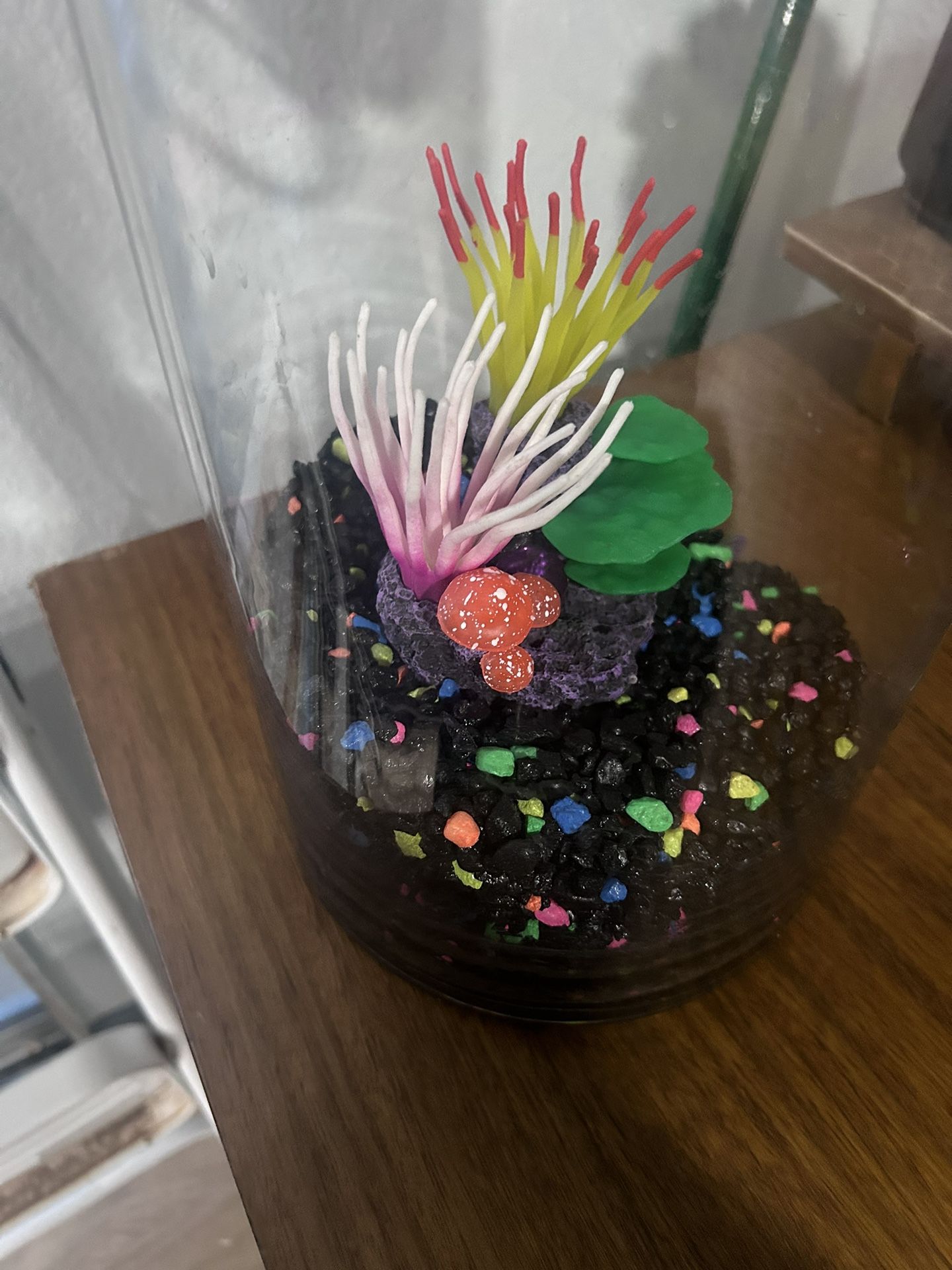 Fish Tank