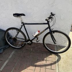 Lightly used Mid-90s Diamondback Sorrento 19”