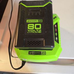 Greenworks 80 Volt Battery And Charger 