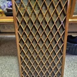 Realistic/Allied  Nova 8 Speakers