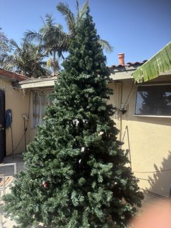 12 ft Christmas Tree!!