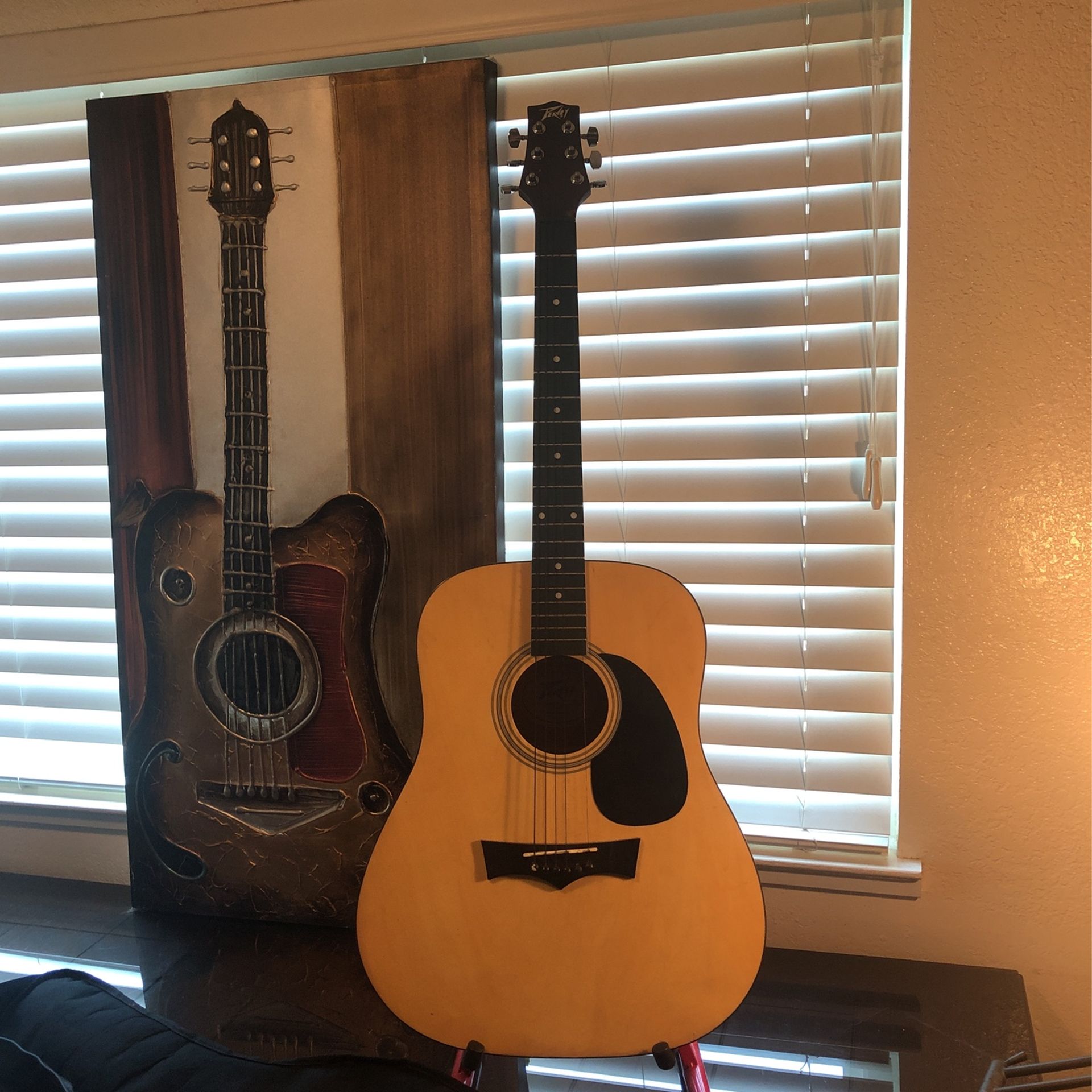 Peavy Acoustic ⭐️ Very Nice Condition ⭐️ Lower Price ⭐️