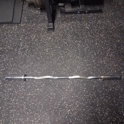 25 Lb Curl Bar 