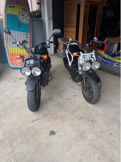 2 Honda Rukus for sale