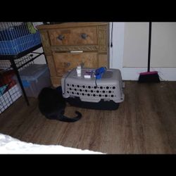 Animal Cages And Supplies 