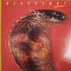 Blackfoot - Strikes