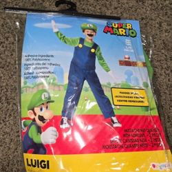 Luigi Kids Size Large 