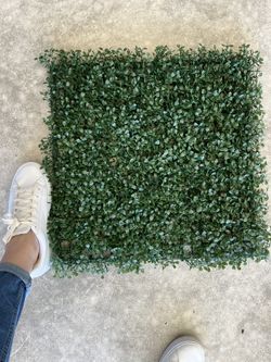 Boxwood Grass -Decor