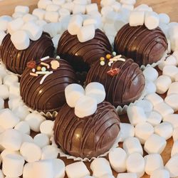 Hot Chocolate Cocoa Bombs 