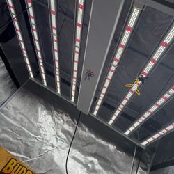 Grow Lights Best Grow