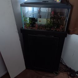 Fish Tank