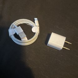 iPhone Charger With Box 