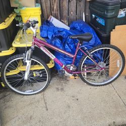 Roadmaster Granite Peak 26