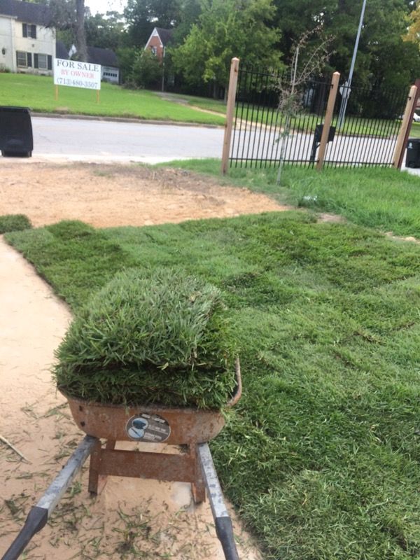 Landscape grass sod on pallet for Sale in Houston, TX OfferUp