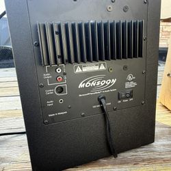 Computer/Guitar Speaker