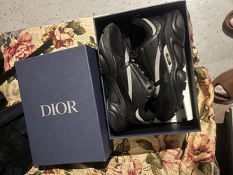 Dior B22s