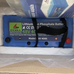 48volt  Lithium Iron Phosphate Battery