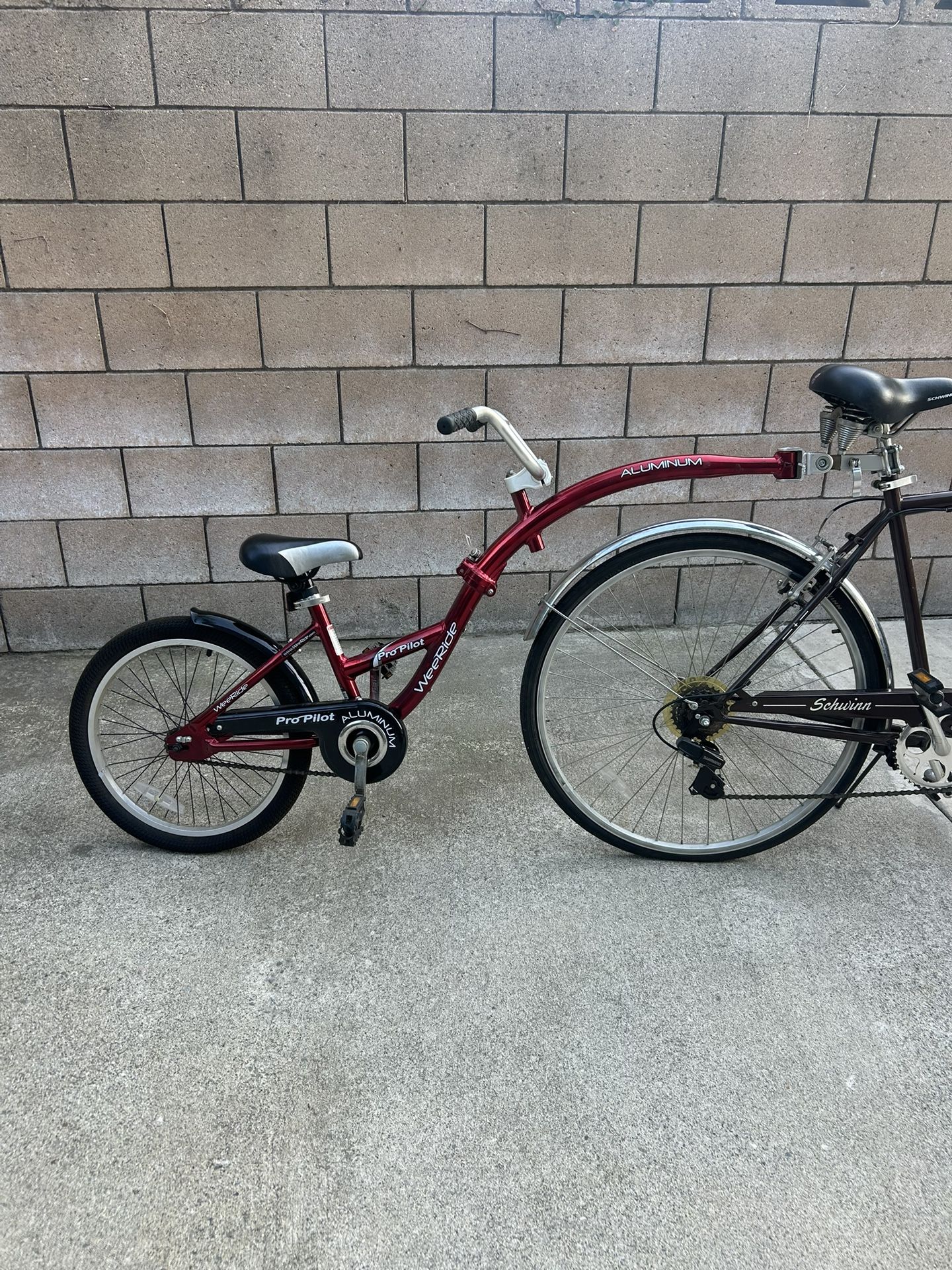 WeeRider (kids trainer bike)