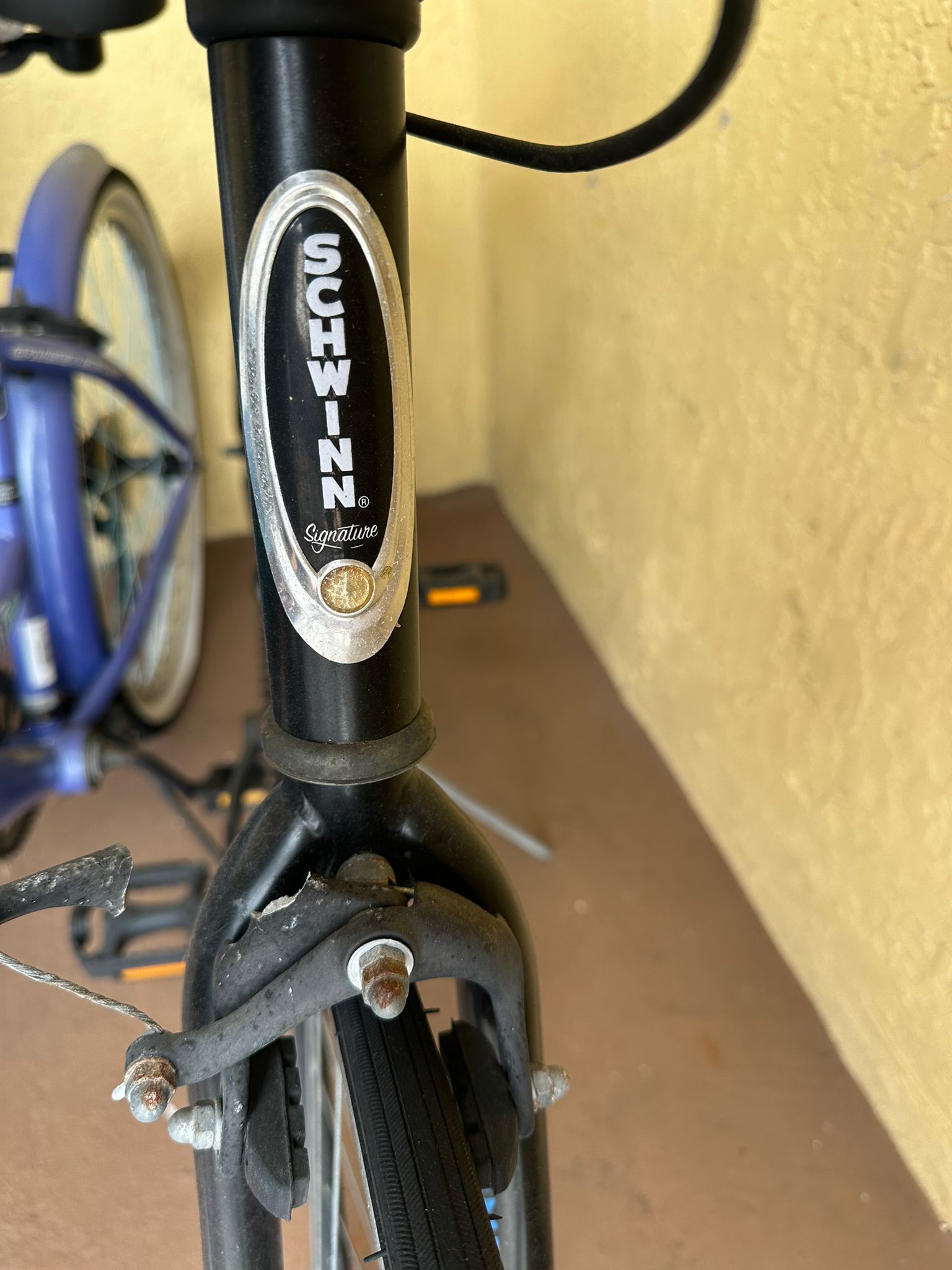 Schwinn Gambit bike (adult Bike)