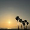 Sunny S
