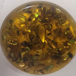 Beautiful Vintage Resin Lucite Trivet With Shells 