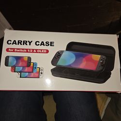 Nintendo carry case