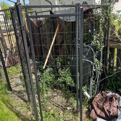 Dog Kennel 