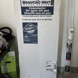 Water Heater 40 Gallons/ Calentador De Agua 