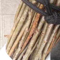 Lemon Eucalyptus Tree Sprigs 2-5$