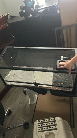 Lizard cage