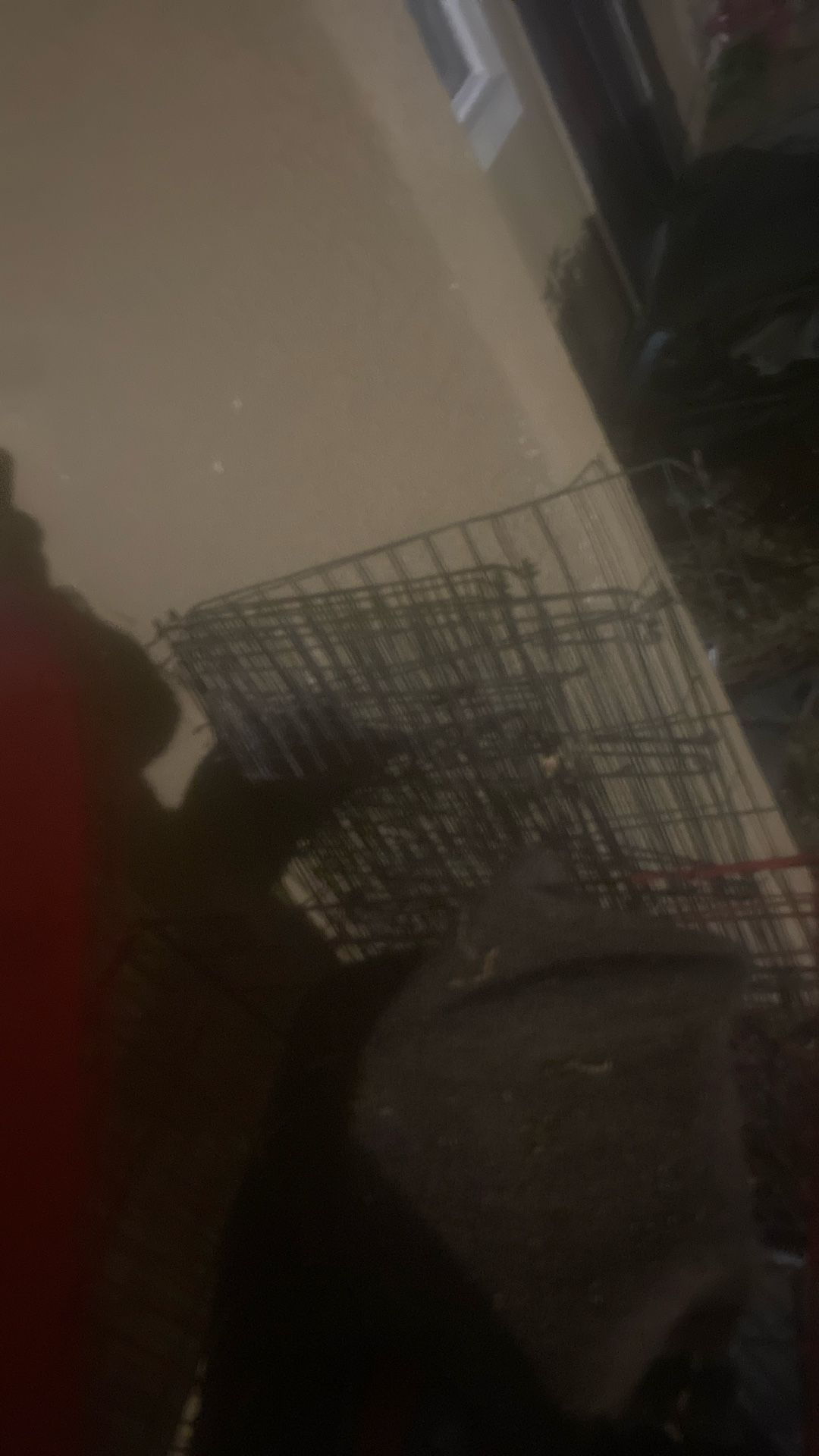 Cage And Play Pen /gate
