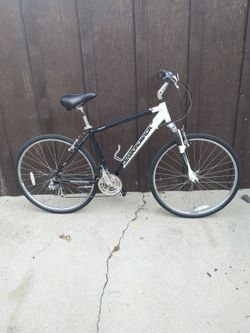 2008 Diamondback Edgewood