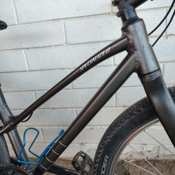 24inch Specialized 