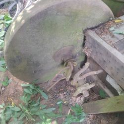 Vintage Sharpening wheel