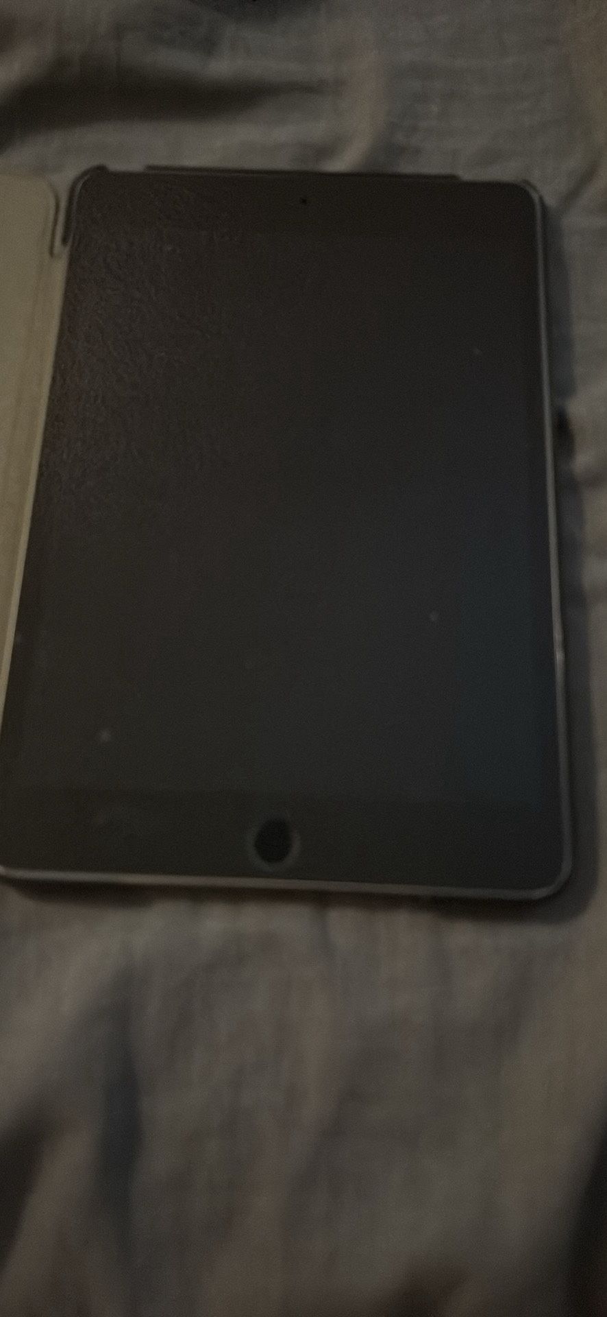 iPad Mini 4