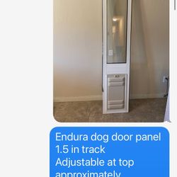 Dog Door