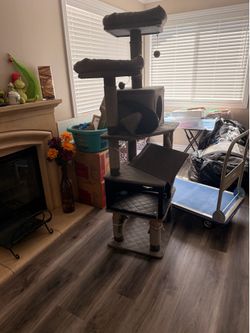 Cat tree 64 inch