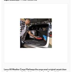 ALL-WEATHER FLOOR and CARGO MATS