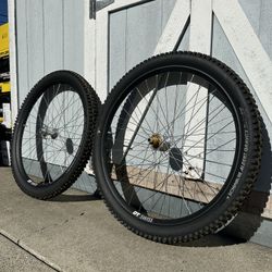 CUSTOM WHEELSET MTB DT SWISS FR541 PROFILE RACING HUBS SCHWALBE MAGIC MARY TIRES