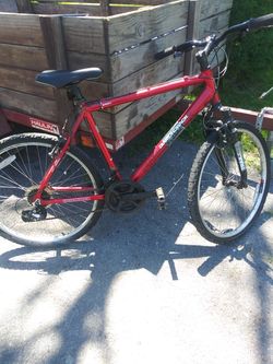 Diamondback
